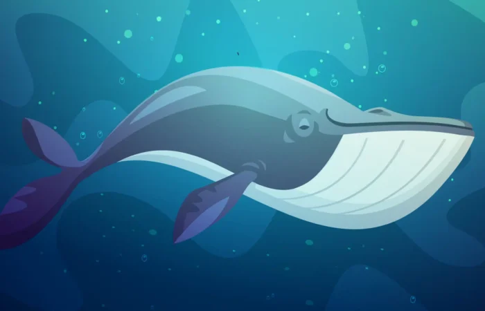 Baleine